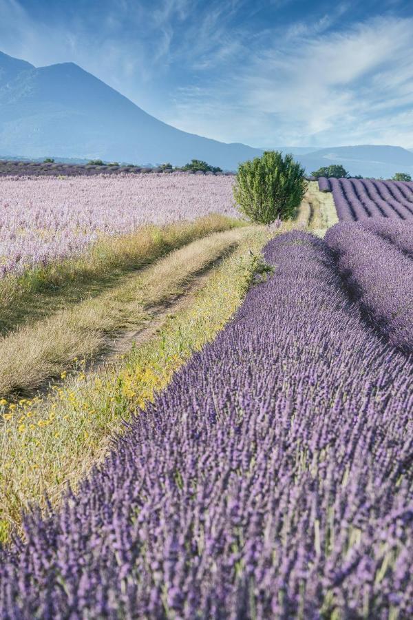 Gite Le Val Zen Valaurie - Drome Provencale Eksteriør bilde